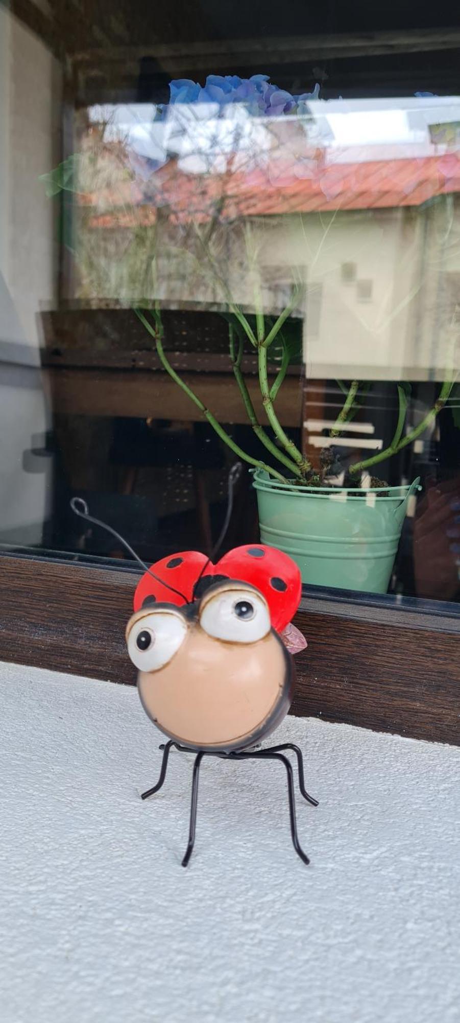 Casa Ama Villa Buşteni Eksteriør billede