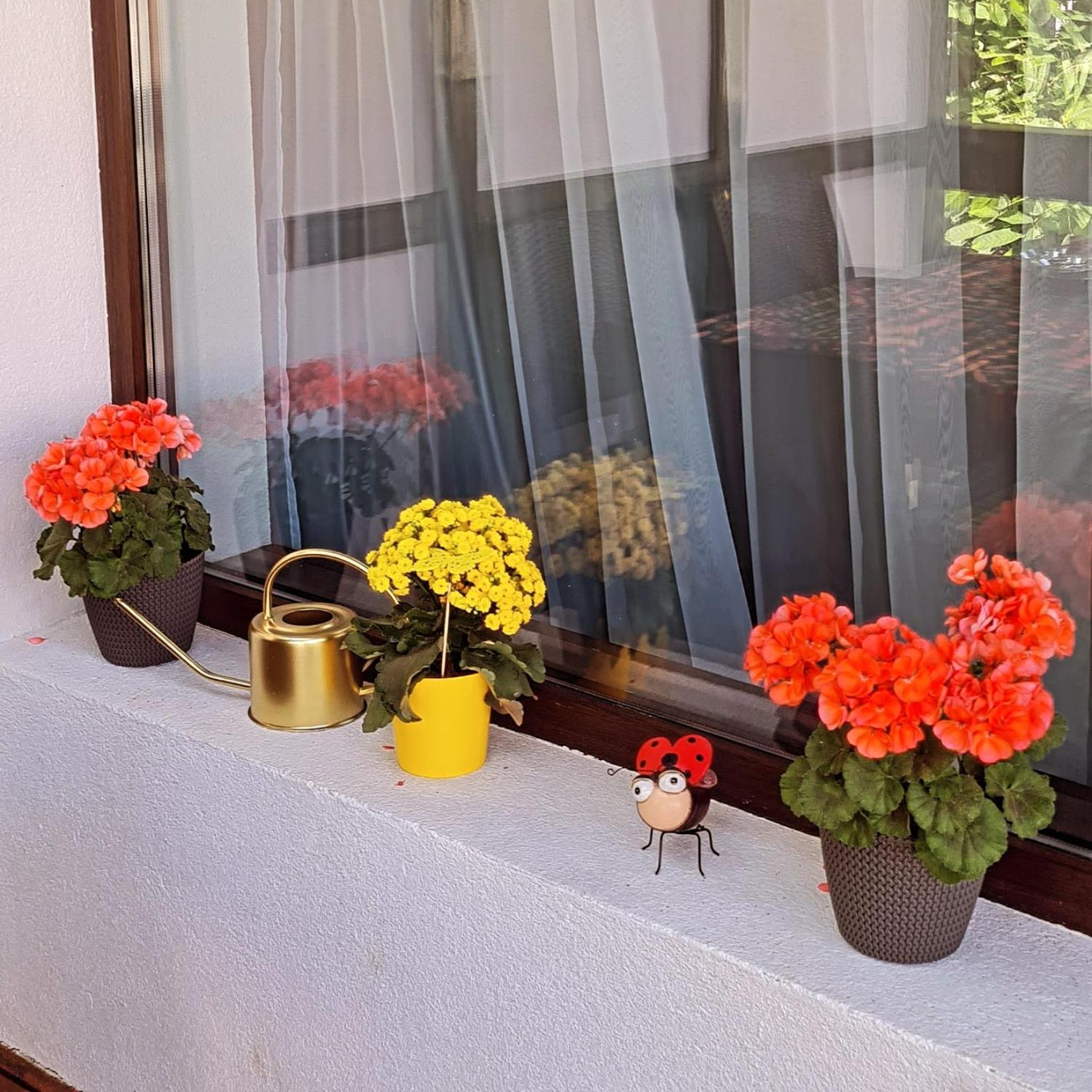 Casa Ama Villa Buşteni Eksteriør billede